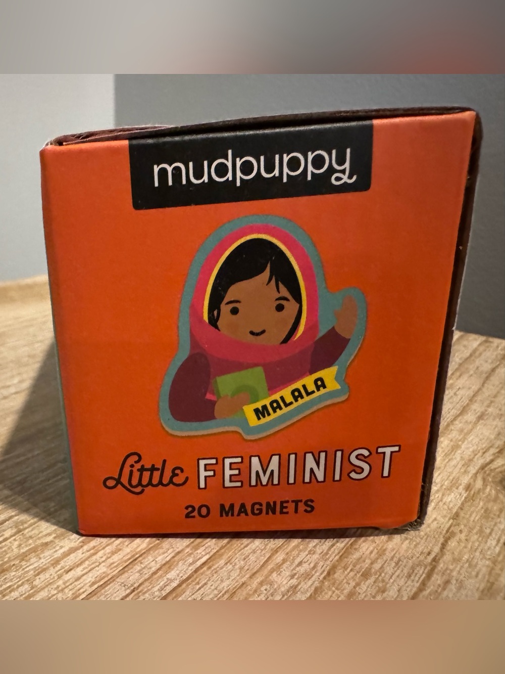 Little Feminist 20 Magnet Set - Picture 4 of 6